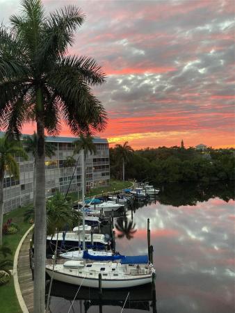 Hillsboro Cove, 1319 E Hillsboro Blvd #515, Deerfield Beach, Florida 33441, image 1