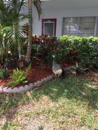 Tilford, 319 Tilford O #319, Deerfield Beach, Florida 33442, image 1