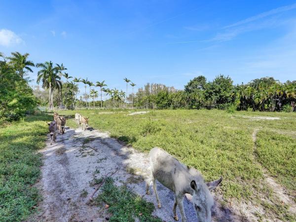 Brittany Marie's Ranch, 17979 SW 52nd Ct COURT, Southwest Ranches, Florida 33331, image 2