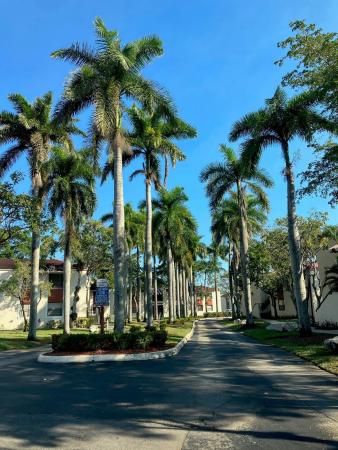 Quatraine, 20085 NE 3rd Ct #5, Ives Estates, Florida 33179, image 1