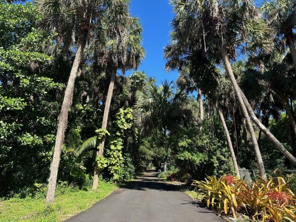 Pelican Cove, 2120 Pelican Cove Rd, Fort Lauderdale, Florida 33312, image 1