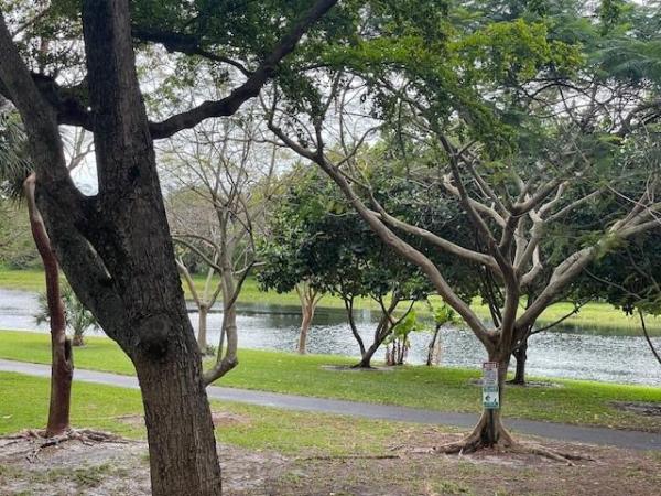 Cypress Bend, 2208 S Cypress Bend Dr #202, Pompano Beach, Florida 33069, image 1