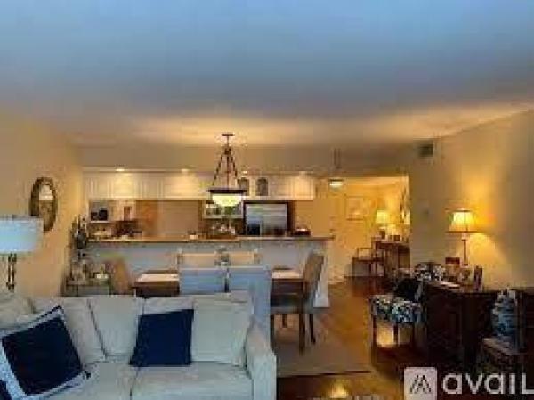 Rocaille, 1965 S Ocean Blvd #205, Lauderdale By The Sea, Florida 33062, image 1