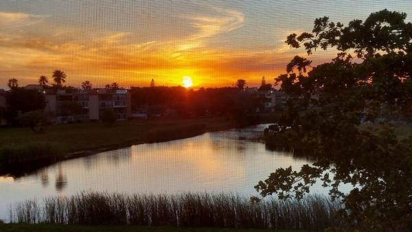 Palm Lakes, 363 N Rock Island Rd #405, Margate, Florida 33063, image 1