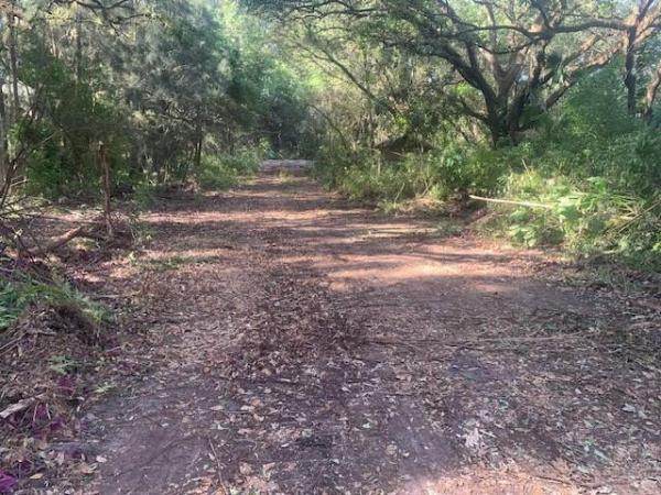 Newmans Survey, 9601 Orange Dr, Davie, Florida 33328, image 1