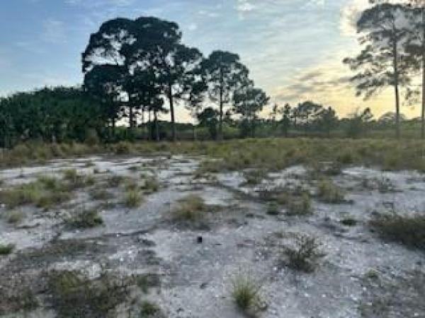Rosser Reserve, 3366 SW Esperanto St, Port St. Lucie, Florida 34953, image 1