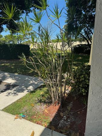 The Gardens North At Palm-Aire, 701 N Gardens Dr #101, Pompano Beach, Florida 33069, image 1