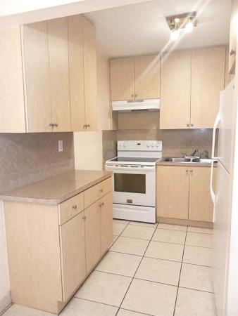 Kings Way, 2905 Pierce St #10, Hollywood, Florida 33020, image 3