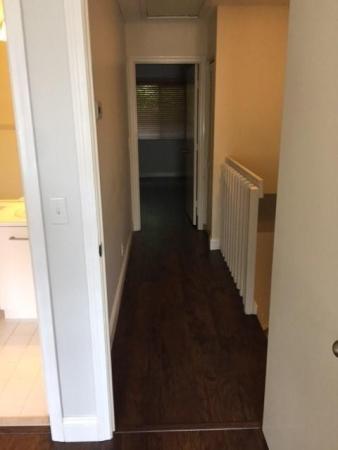 Fiesta, 3345 Cabaret Ln, Margate, Florida 33063, image 2