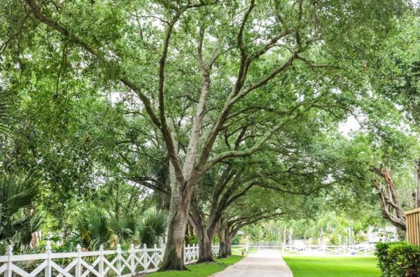 Square Lake, 8265 S Virginia Ave, Palm Beach Gardens, Florida 33418, image 1