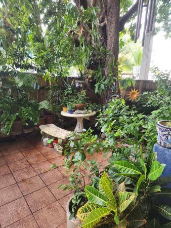 Tempo, 4301 NW South Tamiami Dr #111, Miami, Florida 33126, image 2