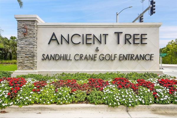 Ancient Tree, 9116 N Balsamo Dr, Palm Beach Gardens, Florida 33412, image 1
