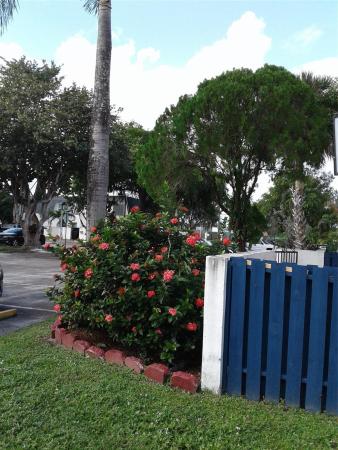Nova Townhouses, 3920 SW 67th Way, Davie, Florida 33314, image 1