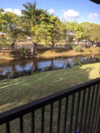 Royal Grenadier, 9621 NW 4th St #3E, Coral Springs, Florida 33071, image 1
