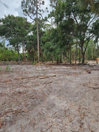 Loxahatchee Groves Residential, 3195 C Rd, Loxahatchee, Florida 33470, image 3