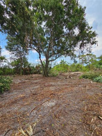 Loxahatchee Groves Residential, 3195 C Rd, Loxahatchee, Florida 33470, image 2