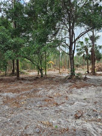 Loxahatchee Groves Residential, 3195 C Rd, Loxahatchee, Florida 33470, image 1