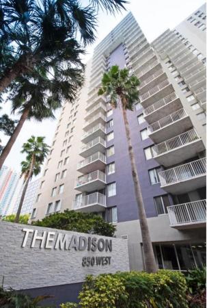 Madison Downtown, 850 N Miami Ave #W-2206, Miami, Florida 33136, image 1