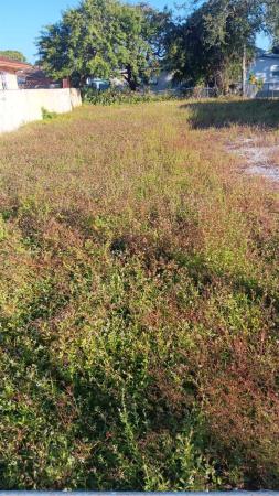 Earlington Heights, 2145 NW 47th St, Brownsville, Florida 33142, image 1