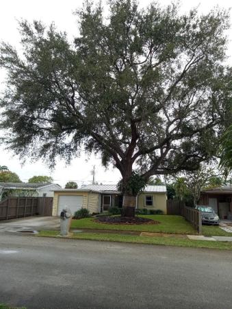 North Andrews Terrace, 121 NW 54th Ct, Oakland Park, Florida 33309, image 1