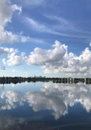 Lake Emerald, 113 Lake Emerald Dr #310, Oakland Park, Florida 33309, image 1