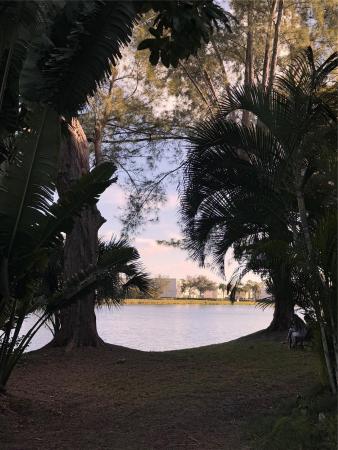 The Lakes Of Inverrary, 3360 Spanish Moss Ter #202, Lauderhill, Florida 33319, image 1