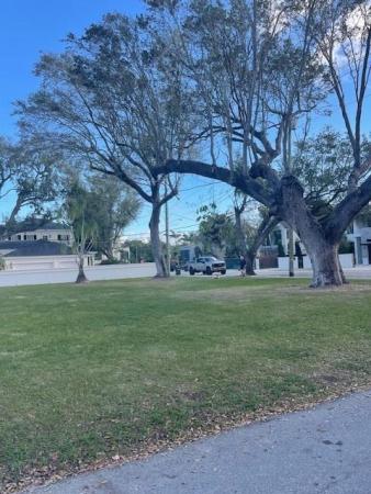Colee Hammock, 17 SE 17th Ave, Fort Lauderdale, Florida 33301, image 1