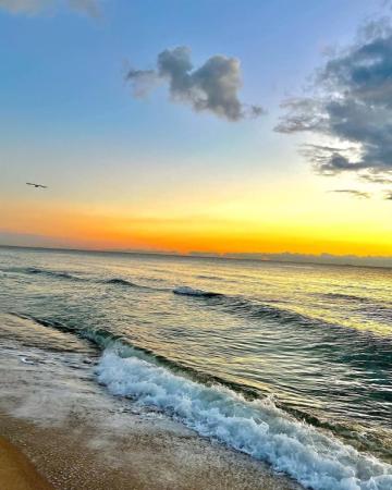 The Tides At Bridgeside Square, 3020 NE 32nd Ave #1401, Fort Lauderdale, Florida 33308, image 1