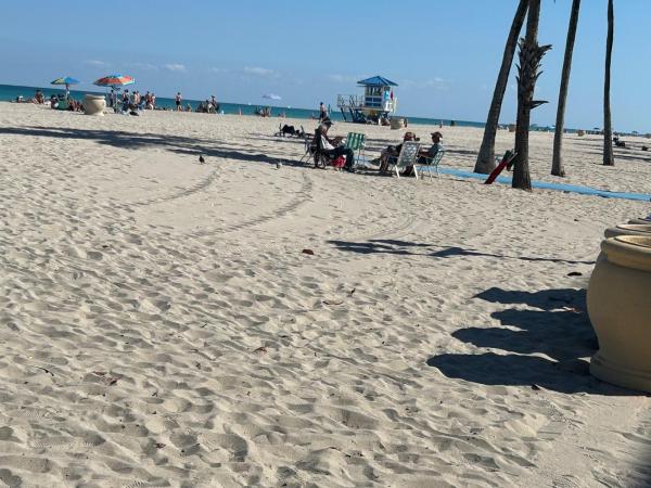 Victoria Towers, 211 S Ocean Dr #204, Hollywood, Florida 33019, image 1