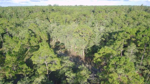 Las Flores Ranchos, 3586 Cabbage Palm Way WAY, Loxahatchee, Florida 33470, image 3