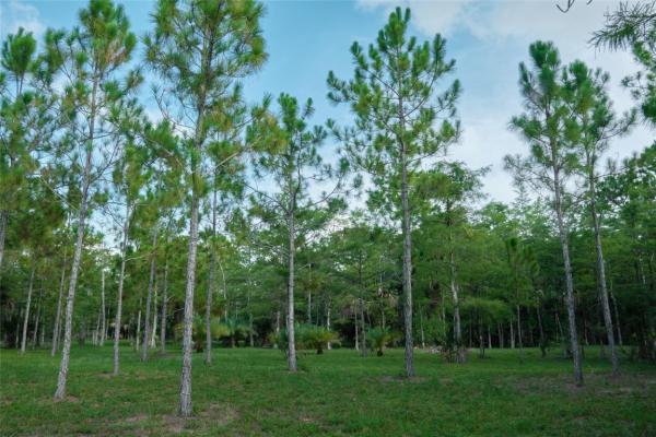 Las Flores Ranchos, 3586 Cabbage Palm Way WAY, Loxahatchee, Florida 33470, image 2