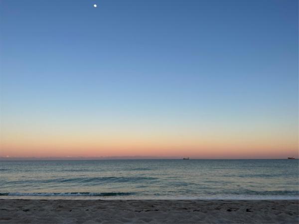 Spring Tide, 345 N Fort Lauderdale Beach Blvd #801, Fort Lauderdale, Florida 33304, image 1