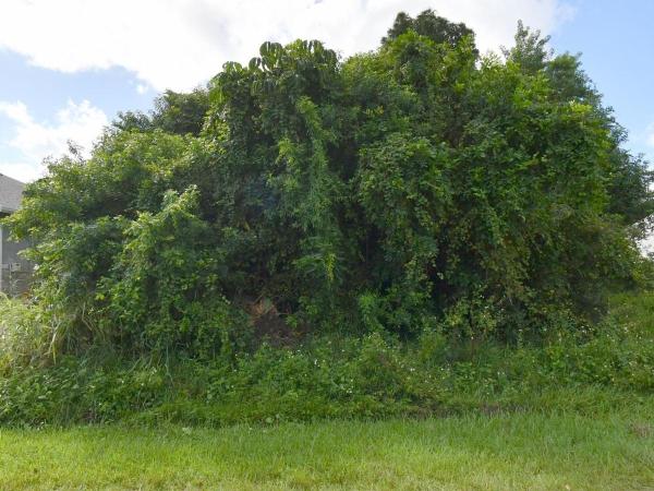 432 SE Starflower Ave, Port St. Lucie, Florida 34983, image 1