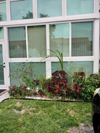 Castle Gardens, 2251 NW 48th Ter #104, Lauderhill, Florida 33313, image 1