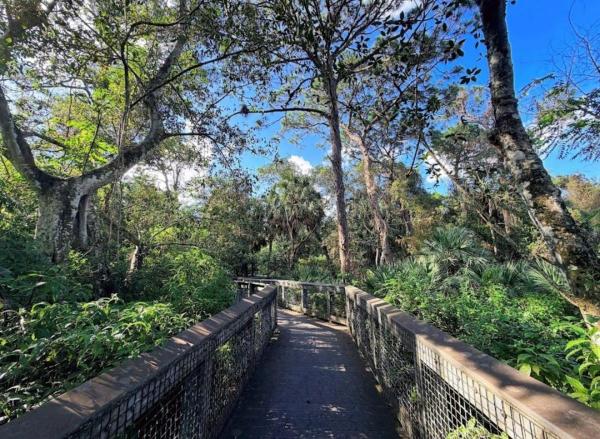 The Jefferson Of Coral Springs, 8821 NW 38th Dr #205A, Coral Springs, Florida 33065, image 2