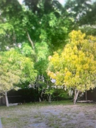 Franklin Park, 901 NW 24th Ave, Fort Lauderdale, Florida 33311, image 1