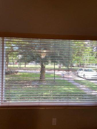 Riviera, 6625 Nervia St, Coral Gables, Florida 33146, image 1