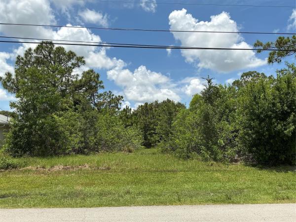 4562 SW Daemon St, Port St. Lucie, Florida 34953, image 1