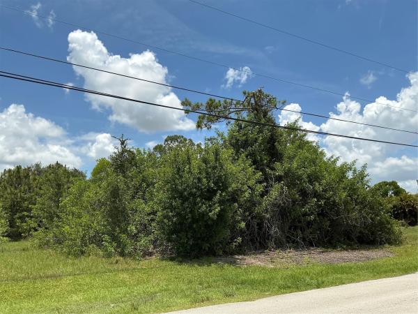 Woodland Trails, 4562 SW Daemon St, Port St. Lucie, Florida 34953, image 1