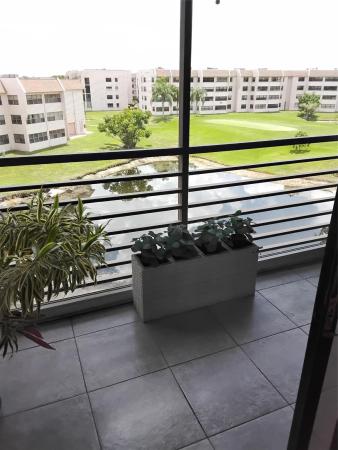 Sunrise Lakes 4, 10433 Sunrise Lakes Blvd #408, Sunrise, Florida 33322, image 1