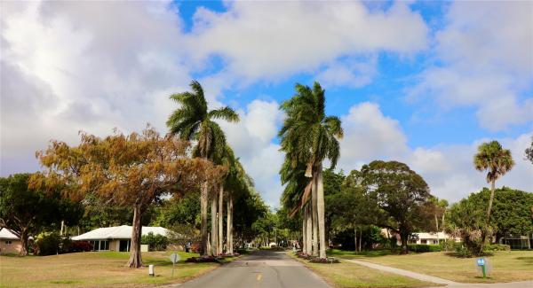 Palm-Aire Country Club 6, 3900 Oaks Clubhouse Dr #305, Pompano Beach, Florida 33069, image 1