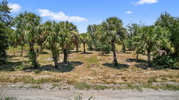 Santa Rosa Groves, xx Xx Bedu Ct, Loxahatchee, Florida 33470, image 1