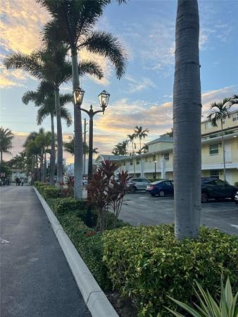 The Grove At Wilton Manors , 2660 NE 8th Ave #208, Wilton Manors, Florida 33334, image 2