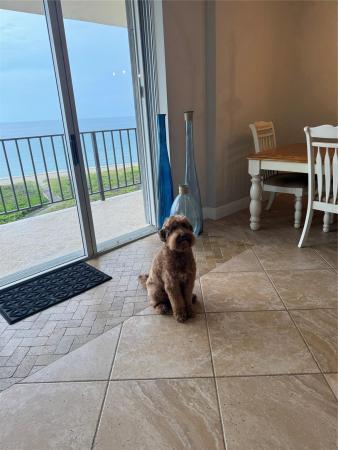 1900 S Ocean Blvd #5F, Pompano Beach, Florida 33062, image 1