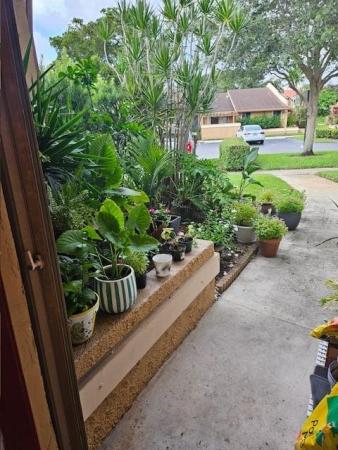 Longwood Village At Jacaranda, 818 NW 79th Ter 0, Plantation, Florida 33324, image 1