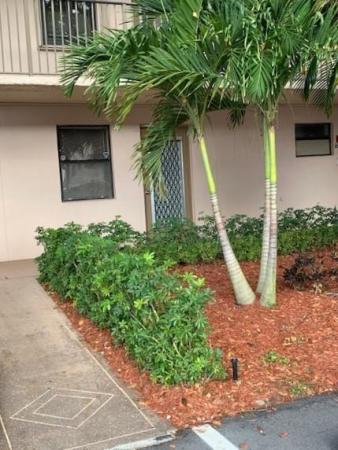 Sunrise Lakes 4, 2793 NW 104th Ave #105, Sunrise, Florida 33322, image 1