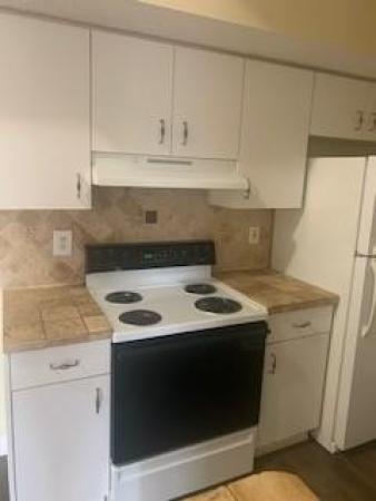 Serenity Palms, 3251 Sabal Palm Mnr #207, Davie, Florida 33024, image 2