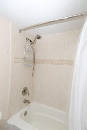 Silver Thatch Intracoastal Apartments, 521 N Riverside Dr #602, Pompano Beach, Florida 33062, image 2