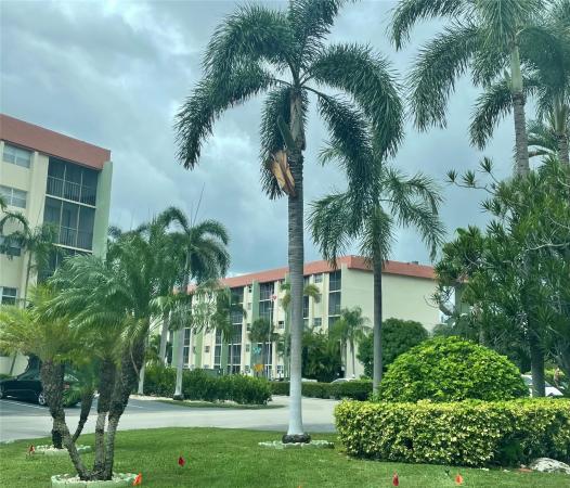 Cross Fox, 5321 NE 24th Ter #312A, Fort Lauderdale, Florida 33308, image 1