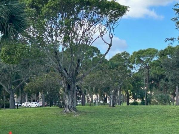The Falls Of Inverrary, 6061 N Falls Circle Dr #102, Lauderhill, Florida 33319, image 1